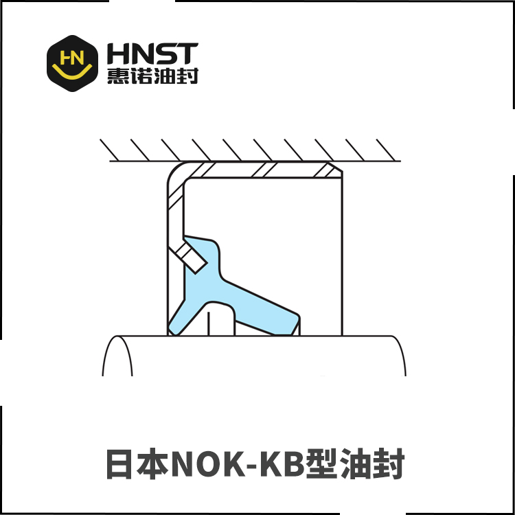 KB油封截面图