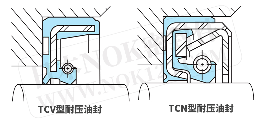 TCV油封TCN油封对比图